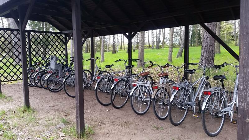 Aktywności - rowery turystyczne